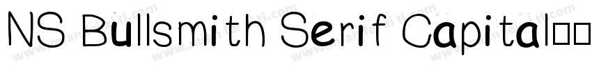 NS Bullsmith Serif Capital字体转换
